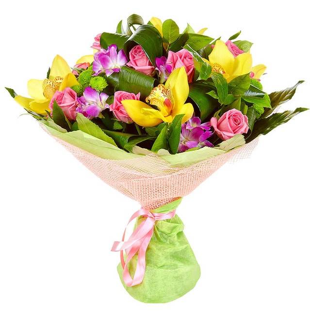 Радуга Радуга